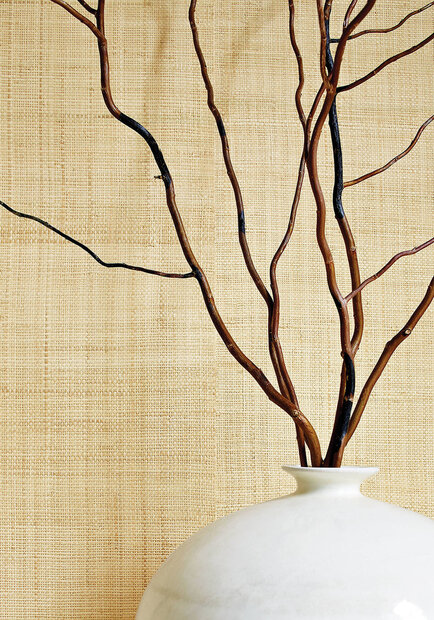 Thibaut Carolina Raffia Behang Grasscloth Resource Volume 3 collectie