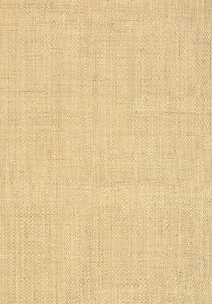 Thibaut Carolina Raffia Behang Grasscloth Resource Volume 3 collectie T13040