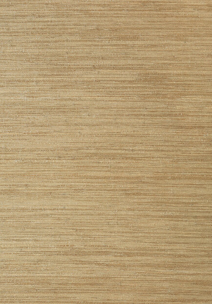 Thibaut Gulf Shore Behang&nbsp;- Grasscloth Resource Volume 3 collectie&nbsp;T41115