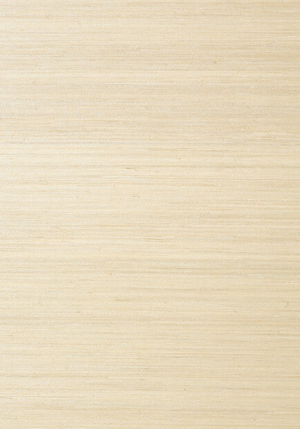 Thibaut Gulf Shore Behang&nbsp;- Grasscloth Resource Volume 3 collectie&nbsp;T41116