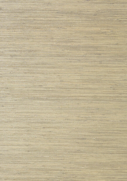 Thibaut Gulf Shore Behang&nbsp;- Grasscloth Resource Volume 3 collectie&nbsp;T41118