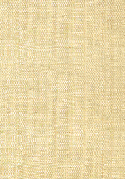 Thibaut Pearl Bay Behang - Grasscloth Resource Volume 3 collectie T41106