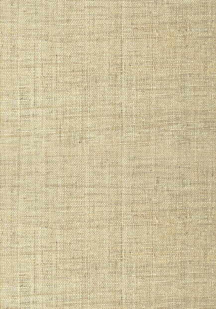Thibaut Pearl Bay Behang - Grasscloth Resource Volume 3 collectie T41107
