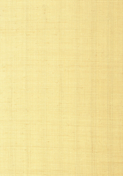 Thibaut Pearl Bay Behang - Grasscloth Resource Volume 3 collectie T41108