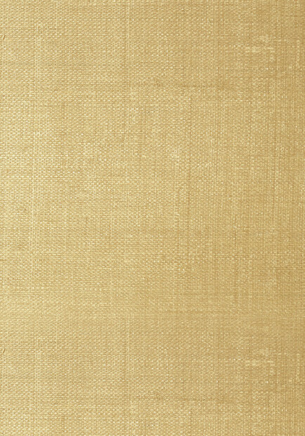 Thibaut Pearl Bay Behang - Grasscloth Resource Volume 3 collectie T41111