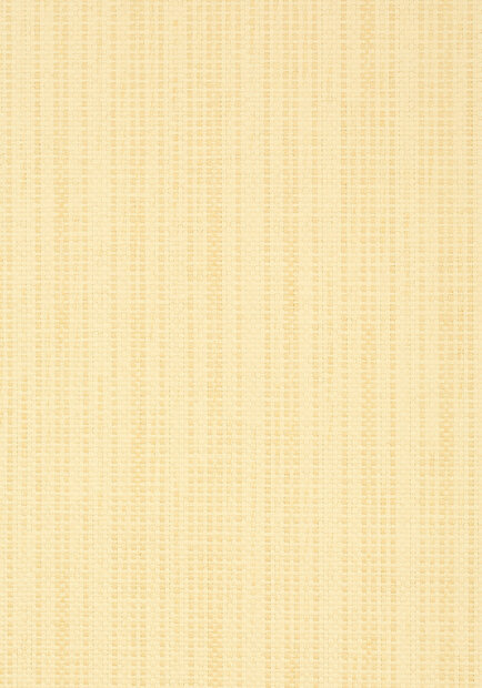 Thibaut Santa Barbara Behang - Grasscloth Resource Volume 3 collectie T41103