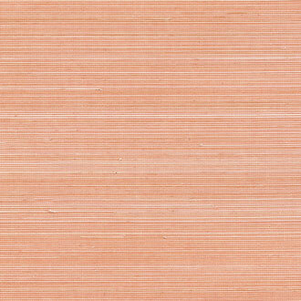 ELITIS Coiba Behang RM_110_39