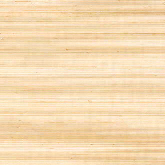 ELITIS Coiba Behang RM_110_50