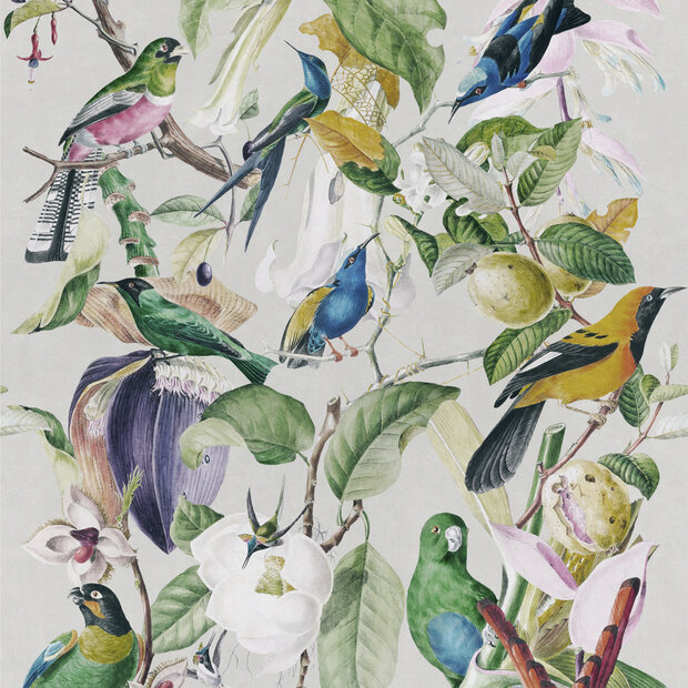 Mind the Gap Tropical Birds Behang Designer Wallpaper 2017 WP20172