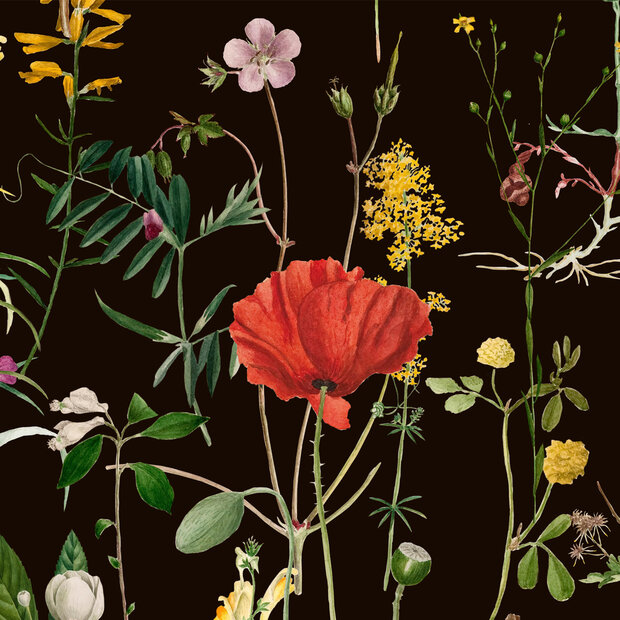 Mind the Gap Aquafleur Behang Designer Wallpaper 2017&nbsp;WP20173