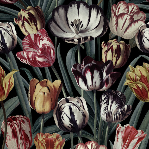 Mind the Gap Tulipa Behang Designer Wallpaper 2017&nbsp;WP20177