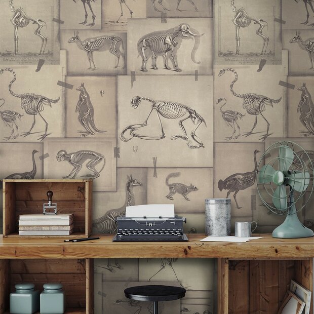 Mind the Gap Zooarchaeology Behang WP20236