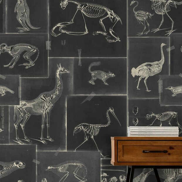 Mind the Gap Zooarchaeology Behang WP20237