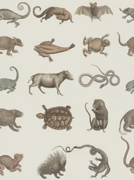 Mind the Gap Seba&#039;s Ark Behang WP20001