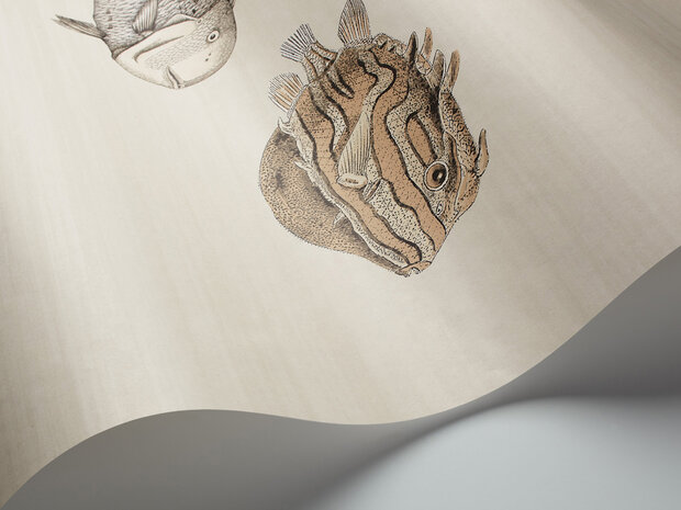 Fornasetti Acquario Behang&nbsp;Cole and Son Senza Tempo Collectie 114/16033