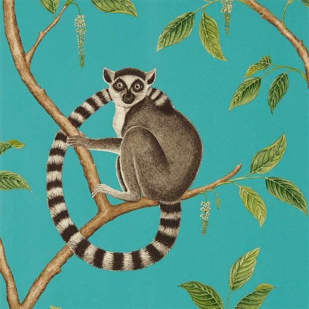 Sanderson Ringtailed Lemur Behang Glasshouse Collectie 216663