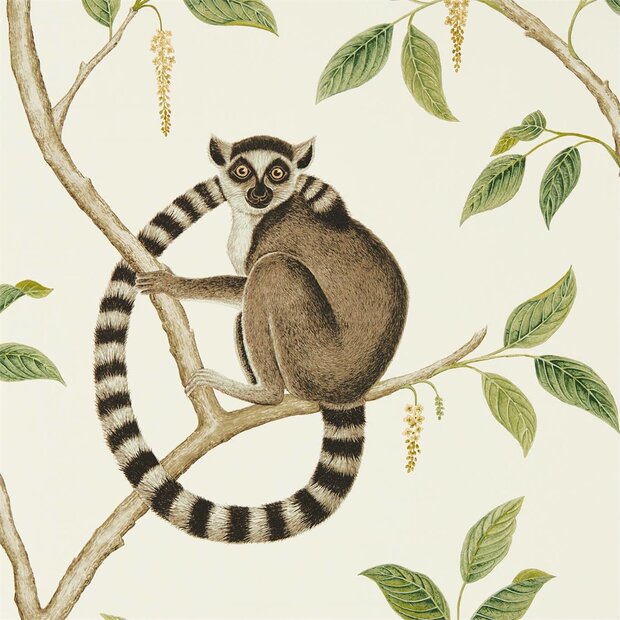 Sanderson Ringtailed Lemur Behang Glasshouse Collectie 216664