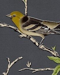 Villa Fiori behang gaston y daniela luxury by nature antraciet