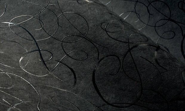 Moooi Calligraphy Bird Behang MO2011