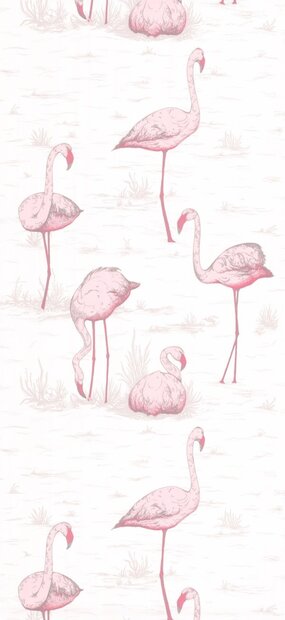 flamingos 958045  behang cole son luxury by nature