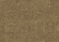 ARTE Evora Behang Wildwalk Collectie 28037