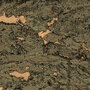 Greenland Metallic Cork II behang G0111NQ8243