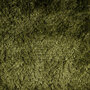 Carpetlinq Bukit Vloerkleed Groen ISP 02
