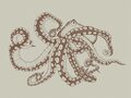 Coordonne Octopus X-Ray Behang 9500801