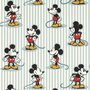 Disney Home Mickey Stripe Behang 217271