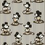 Disney Home Mickey Stripe Behang 217271
