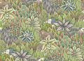 cole and son Singita Behang Ardmore Cole and Son 109/7034