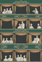 Fornasetti Teatro behang Cole and Son 114-4009