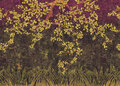 ELITIS Les Cerisiers Sauvages Behang&nbsp;Soleil levant Collectie&nbsp;TP_289_04