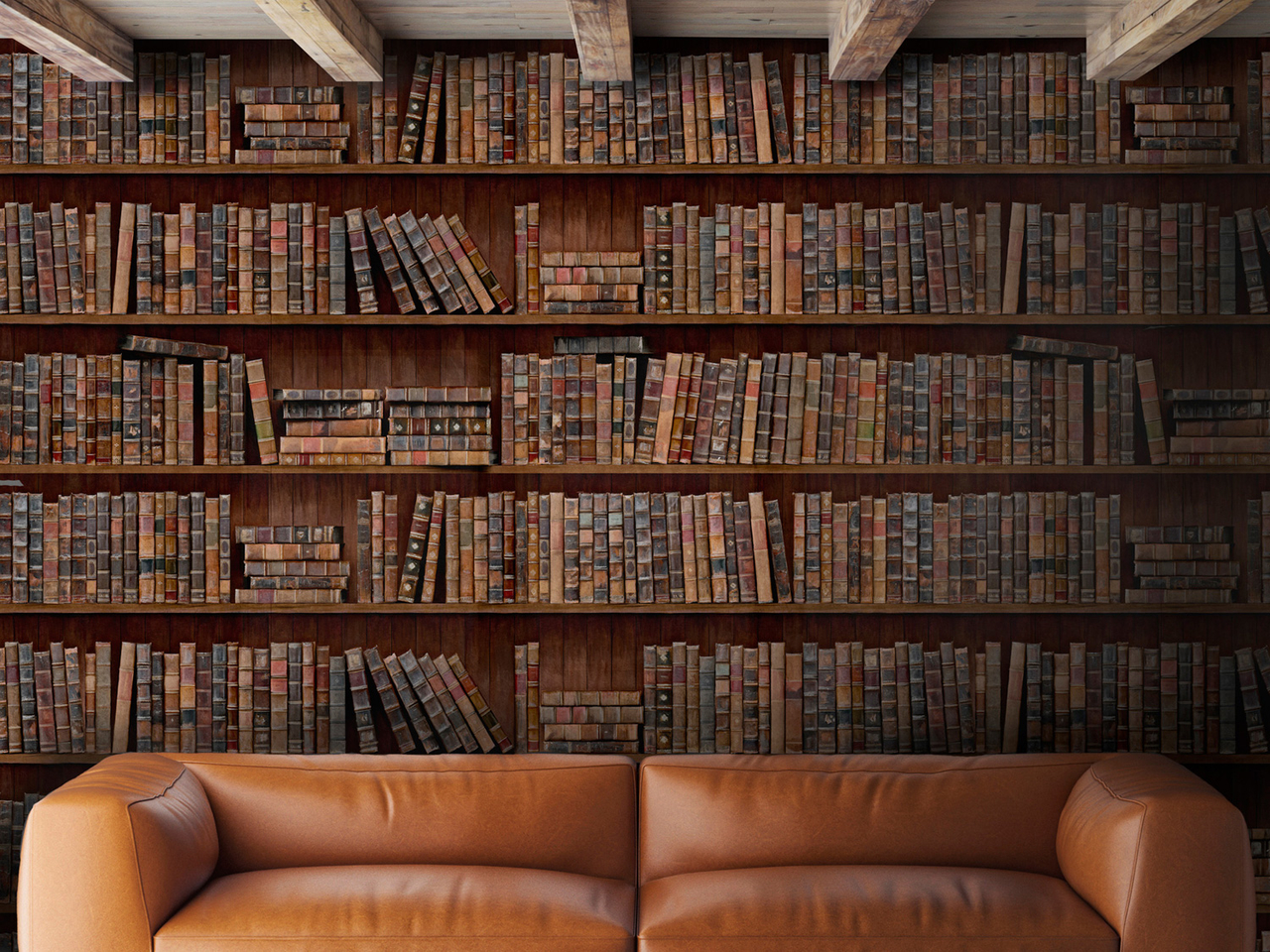 Kardinaal karton verdrievoudigen Mind the Gap Book Shelves Behang (Oude boekenkast) - Luxury By Nature