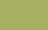 Verf Little Greene Boxington (84) Little Greene Dealer Amsterdam Luxury By Nature Boutique