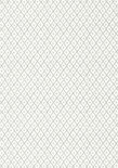 Anna French Mini Trellis Behang - Palampore