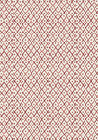 Anna French Mini Trellis Behang - Palampore