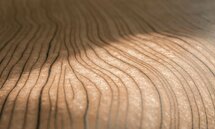 ARTE Timber Behang