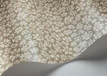 Cole and Son Savanna Shell Behang