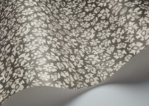 Cole and Son Savanna Shell Behang