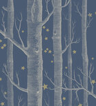 Woods & Stars