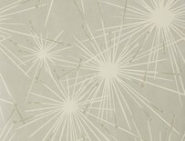 Jim Thompson Fireworks Behang - Silver