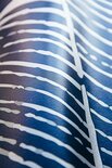 Coordonne Waves Behang - Silver