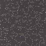 Ralph Lauren Starry Sky Behang - Black