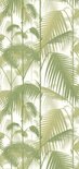 Cole and Son Palm Jungle Behang Wit Licht Groen