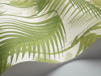 Cole and Son Palm Jungle Behang Wit Licht Groen