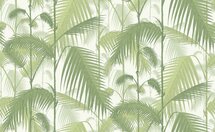 Cole and Son Palm Jungle Behang Wit Licht Groen