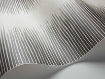Plume