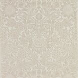 Pure Sunflower 'Pearl / Ivory'