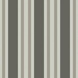 Polo Stripe Streep Behang